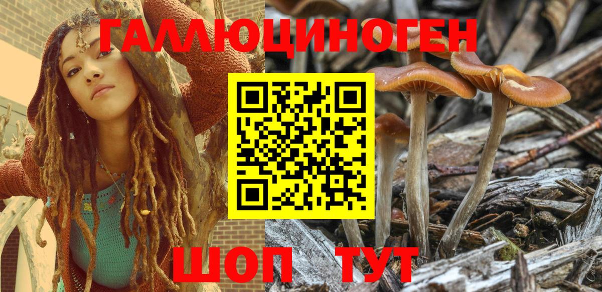 Изобильный  Галлюциногенные грибы MAGIC MUSHROOMS  Вход с VPN 