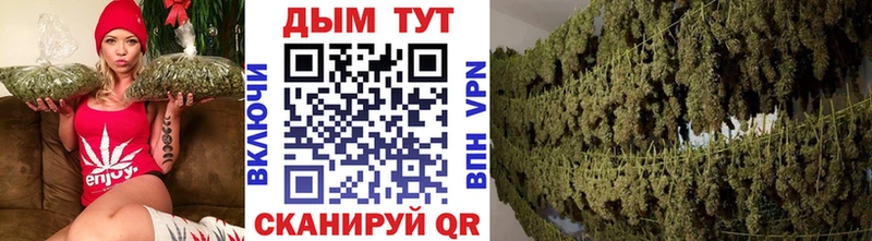 Бошки марихуана план  блэк спрут tor  Изобильный 